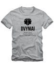 Dvynių stichija planeta Akmuo